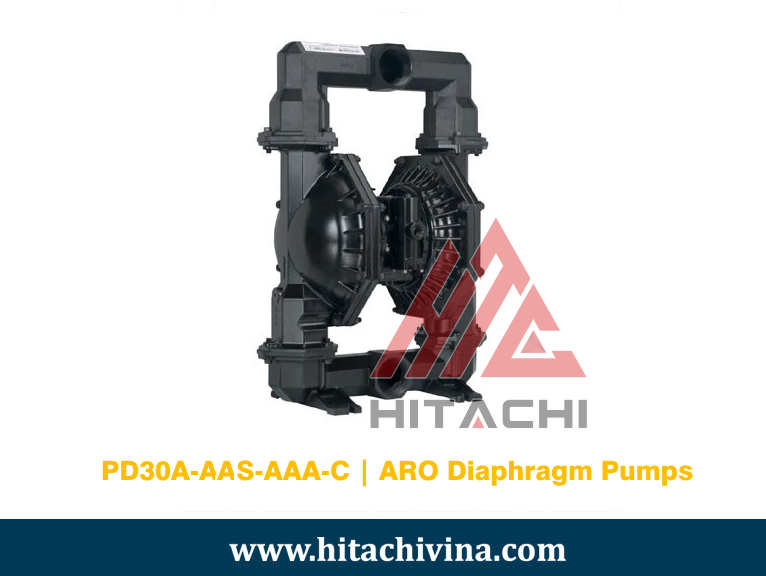PD30A-AAS-AAA-C | ARO Diaphragm Pumps