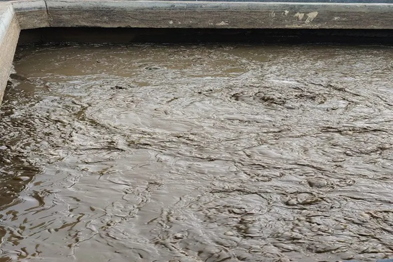 bùn thải trong ngành xử lý nước thải